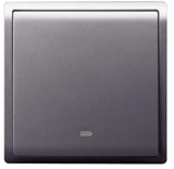 Schneider Electric - PIENO - 2 Way Switches with Fluorescent Locator (16AX) (10AX-4GANGS only) - ebuy.com.sg