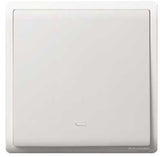 Schneider Electric - PIENO - 2 Way Switches with Fluorescent Locator (16AX) (10AX-4GANGS only) - ebuy.com.sg