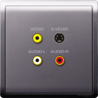 Schneider Electric - PIENO - RCA and S-Video Socket - ebuy.com.sg