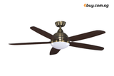 CRS - RAINLITE WOODEN with BUILT-IN LED LIGHT KIT - ebuy.com.sg
