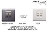 Schneider Electric - PIENO - Data Outlet (2GANG / RJS45 / Cat 5e) Keystone on Shuttered Wallplate - ebuy.com.sg