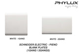 Schneider Electric - PIENO - Blank Plate (1Gang / 2Gang) - ebuy.com.sg